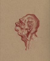 Human Head Life Study 46